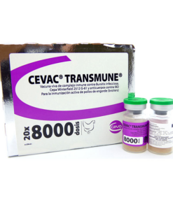 CEVAC<sup>®</sup> TRASMUNE